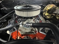 1967 Chevrolet Chevelle for sale in Michigan (ID-138574)