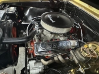1967 Chevrolet Chevelle for sale in Michigan (ID-138575)