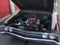 1967 Chevrolet Chevelle for sale in Michigan (ID-138983)