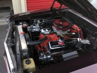 1967 Chevrolet Chevelle for sale in Michigan (ID-138983)