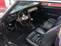 1967 Chevrolet Chevelle for sale in Michigan (ID-138983)