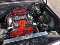 1967 Chevrolet Chevelle for sale in Michigan (ID-138983)