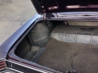 1967 Chevrolet Chevelle for sale in Michigan (ID-138983)