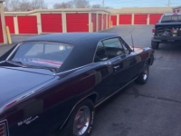 1967 Chevrolet Chevelle for sale in Michigan (ID-138983)