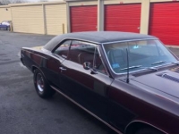 1967 Chevrolet Chevelle for sale in Michigan (ID-138983)