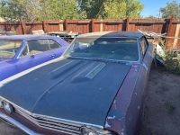 1967 Chevrolet Chevelle for sale in Michigan (ID-139819)