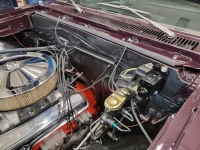 1967 Chevrolet Chevelle for sale in Michigan (ID-141407)