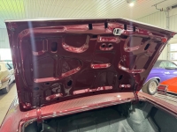 1967 Chevrolet Chevelle for sale in Addison, Illinois (ID-141868)