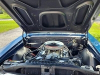 1967 Chevrolet Chevelle for sale in Michigan (ID-142232)