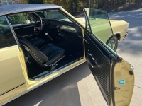 1967 Chevrolet Chevelle for sale in Michigan (ID-146411)