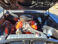 1967 Chevrolet Chevelle for sale in Michigan (ID-146769)