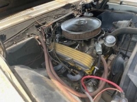 1967 Chevrolet Chevelle for sale in Michigan (ID-155154)