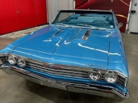1967 Chevrolet Chevelle for sale in Michigan (ID-162159)