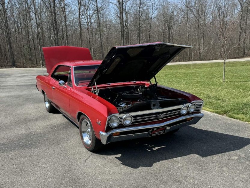 1967 Chevrolet Chevelle for sale (ID-161576)