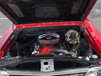 1967 Chevrolet Chevelle for sale (ID-161576)