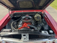 1967 Chevrolet Chevelle for sale (ID-161576)