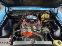 1967 Chevrolet Chevelle for sale in Michigan (ID-162594)