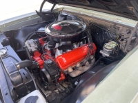 1967 Chevrolet Chevelle for sale in Michigan (ID-162785)