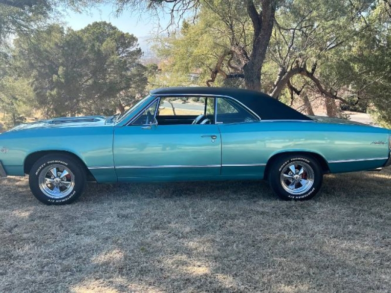1967 Chevrolet Chevelle for sale in Michigan (ID-163088)