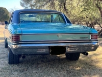 1967 Chevrolet Chevelle for sale in Michigan (ID-163088)