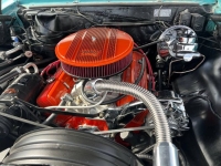 1967 Chevrolet Chevelle for sale in Michigan (ID-163088)