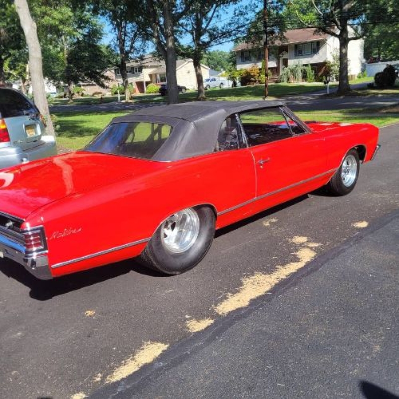 1967 Chevrolet Chevelle for sale in Michigan (ID-163116)