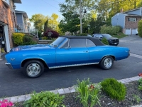1967 Chevrolet Chevelle for sale in Michigan (ID-163493)
