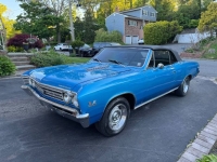 1967 Chevrolet Chevelle for sale in Michigan (ID-163493)