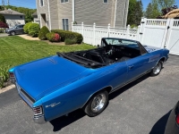 1967 Chevrolet Chevelle for sale in Michigan (ID-163493)