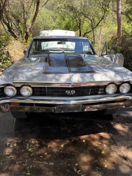 1967 Chevrolet Chevelle for sale in Michigan (ID-164162)