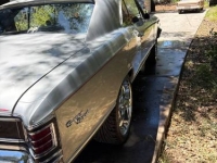 1967 Chevrolet Chevelle for sale in Michigan (ID-164162)