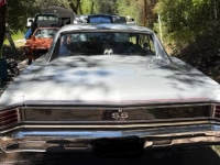 1967 Chevrolet Chevelle for sale in Michigan (ID-164162)