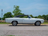 1967 Chevrolet Chevelle SS for sale (ID-131396)