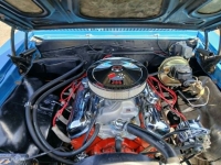 1967 Chevrolet Chevelle SS for sale (ID-163347)