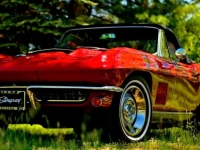 1967 Chevrolet Corvette for sale in Michigan (ID-164447)