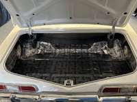 1967 Chevrolet Impala for sale in Michigan (ID-124131)