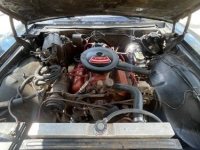 1967 Chevrolet Impala for sale in Michigan (ID-126317)