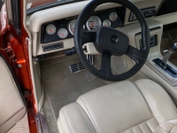1967 Chevrolet Nova for sale in Michigan (ID-103251)