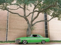 1967 Chevrolet Nova for sale in Michigan (ID-162216)