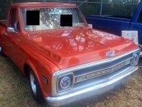 1967 Chevrolet Pickup for sale in Michigan (ID-137034)