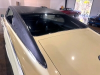 1967 Dodge Charger for sale in Michigan (ID-126430)