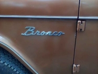 1967 Ford Bronco for sale in Michigan (ID-121968)