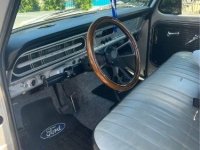 1967 Ford F100 for sale in Michigan (ID-135928)