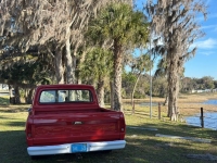 1967 Ford F100 for sale in Michigan (ID-141084)