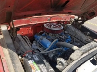 1967 Ford F250 for sale in Michigan (ID-100478)