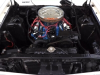 1967 Ford Fairlane for sale in Michigan (ID-127618)