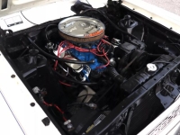 1967 Ford Fairlane for sale in Michigan (ID-127618)