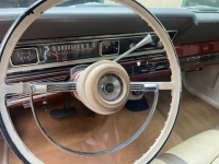 1967 Ford Fairlane for sale in Michigan (ID-134260)