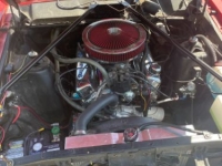 1967 Ford Fairlane for sale in Michigan (ID-142001)