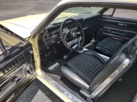 1967 Ford Fairlane for sale in Michigan (ID-145018)